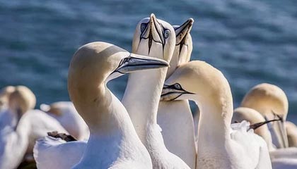 台州最新的高价医保卡惠民保险代扣怎么取消掉了方法分享(台州惠民医保怎么报销教程)