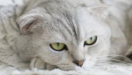 台州2026年最新医保提取中介联系微信方法介绍(分享医保卡中介取现)