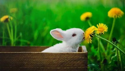 台州2026年最新医保提取中介联系微信方法介绍(分享医保卡中介取现)